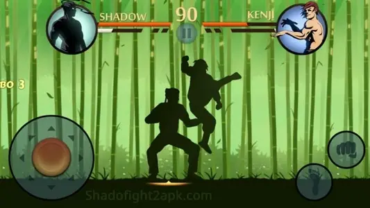 ss - of - shadow - fight - 2